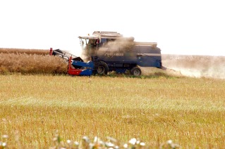 Agricultural Interpreter Services Worldwide