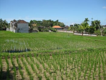 Agroforestry Industry Interpreters