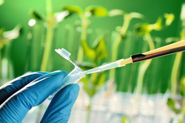 Genetic Engineering Translation & Interpreter Services - Video Remote Interpreting also available