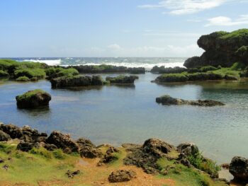 Arbitration interpreters in Guam