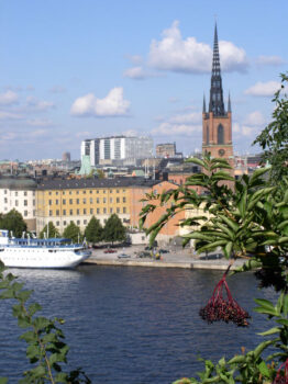 Swedish deposition interpreters