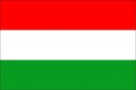 Hungarian interpreting